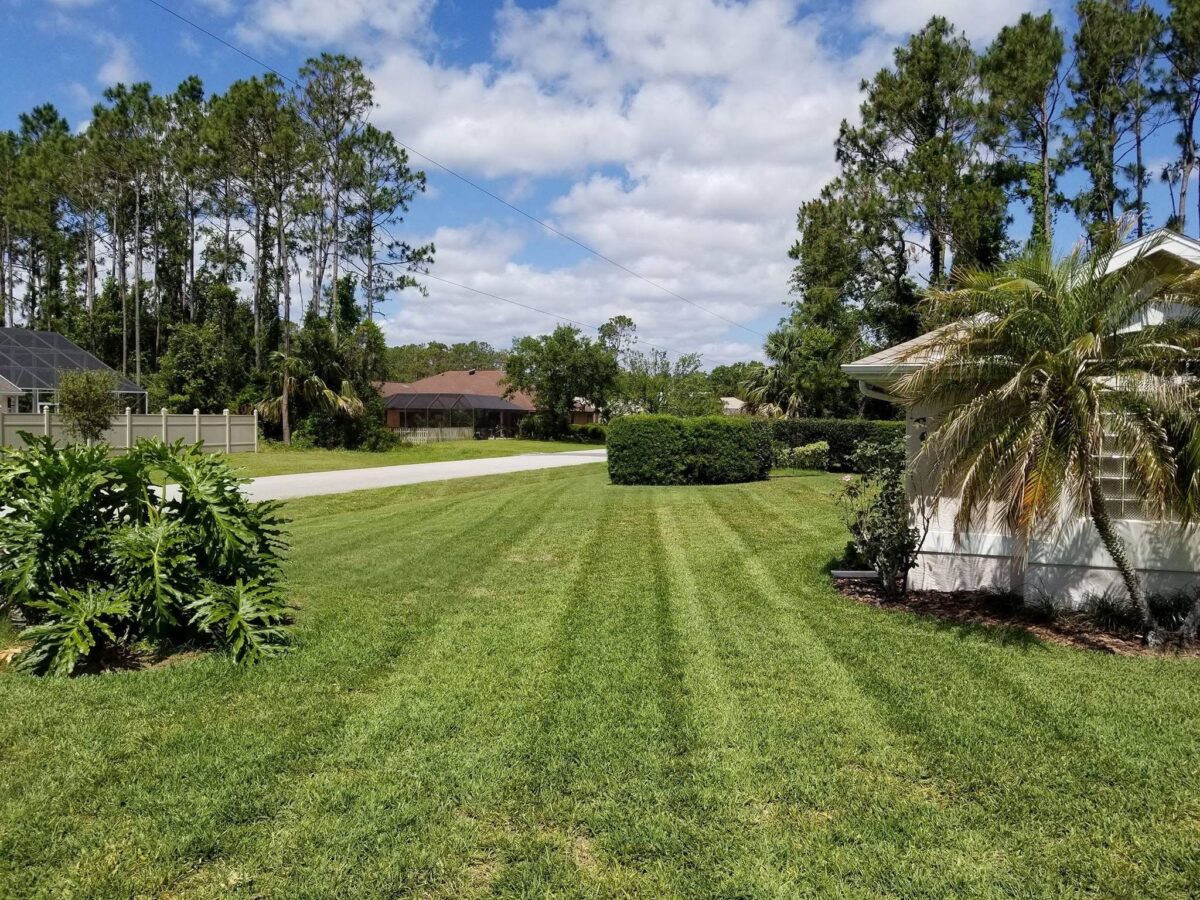 Stripes from lawn mowing